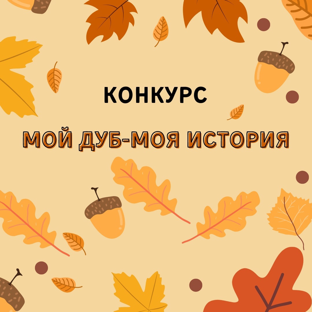 мой дуб