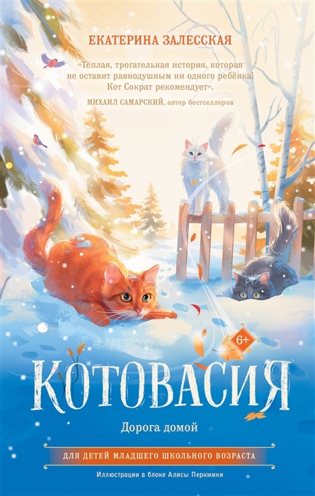 кот
