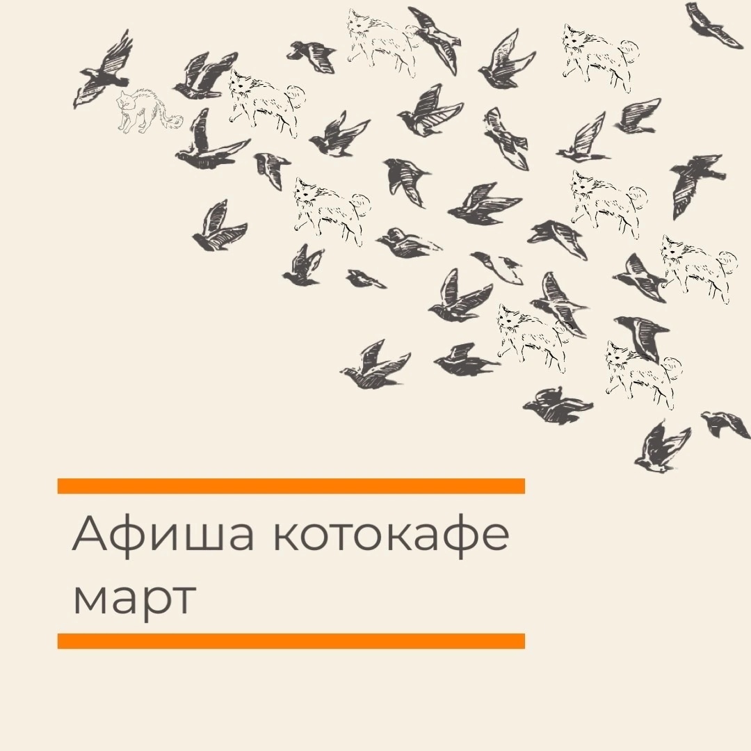 м