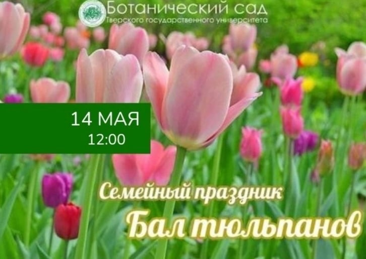 ь
