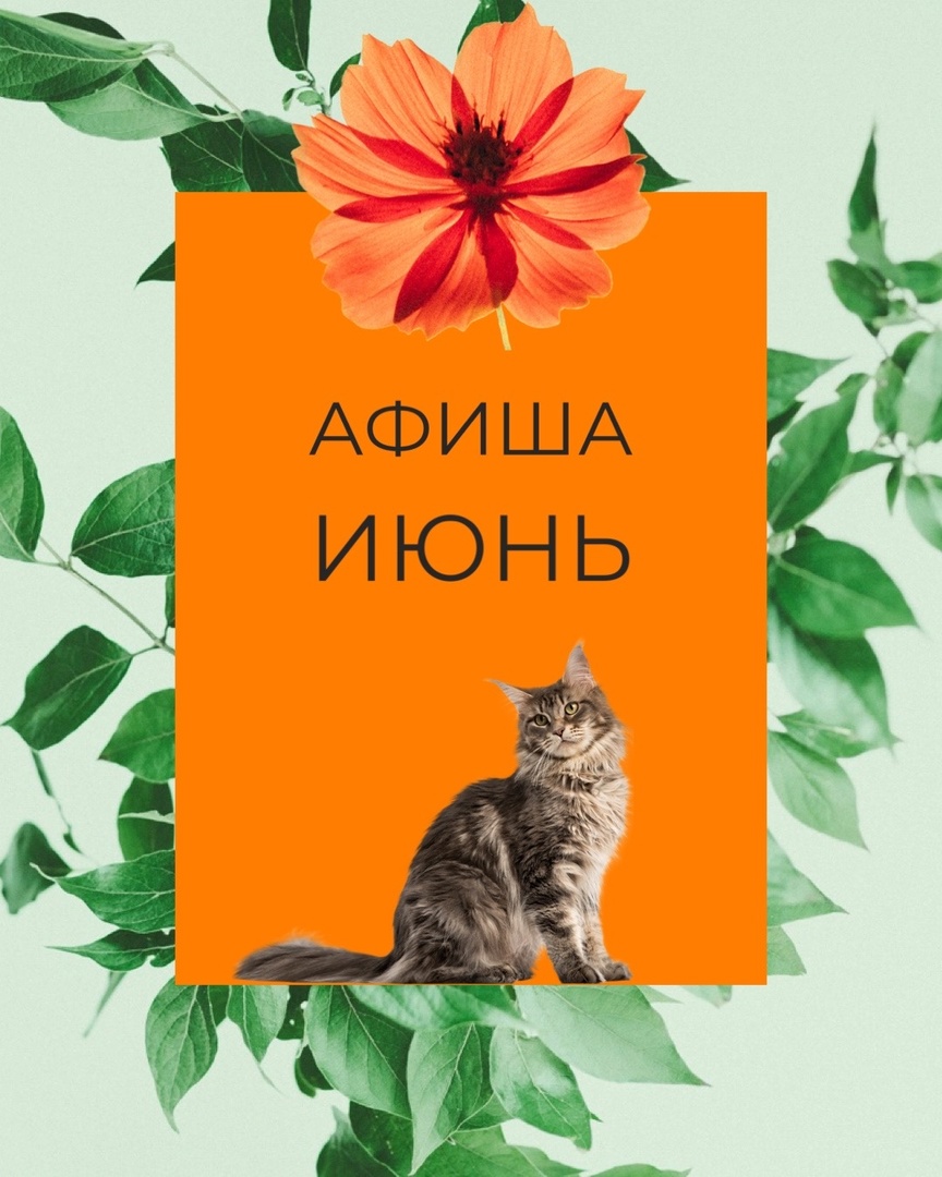 к