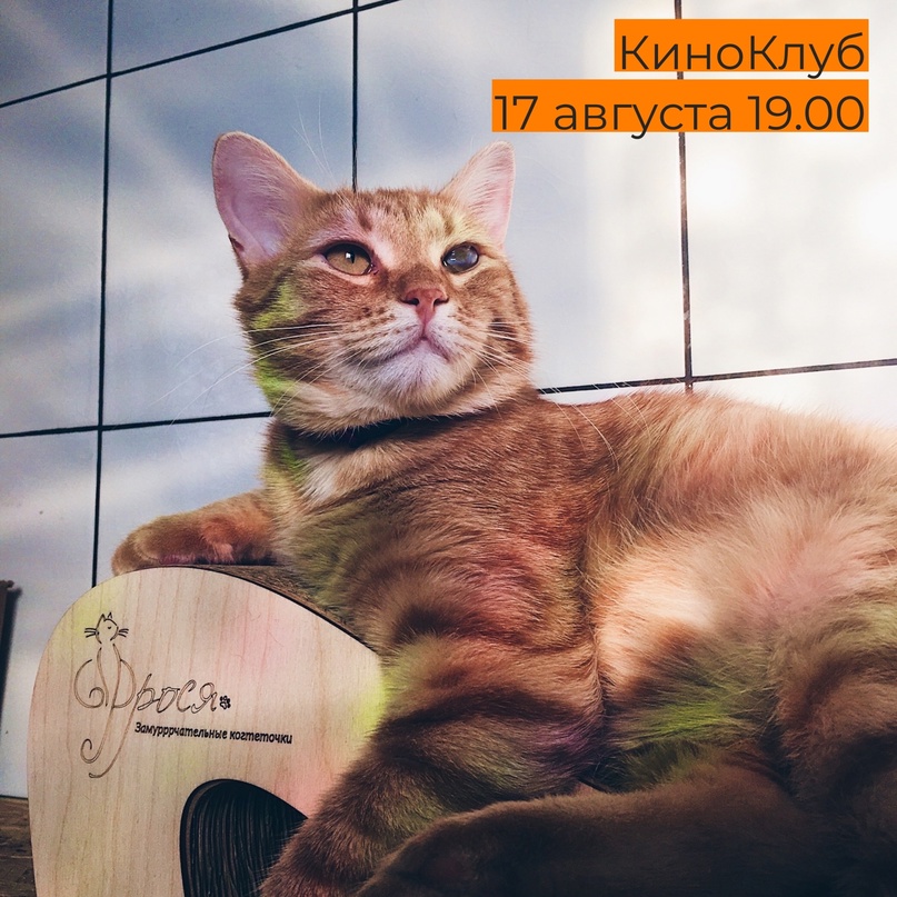е