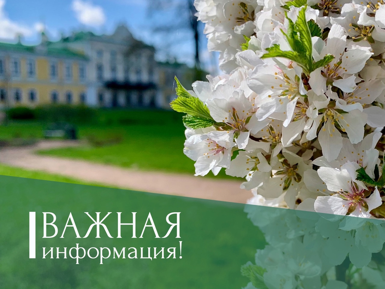 м