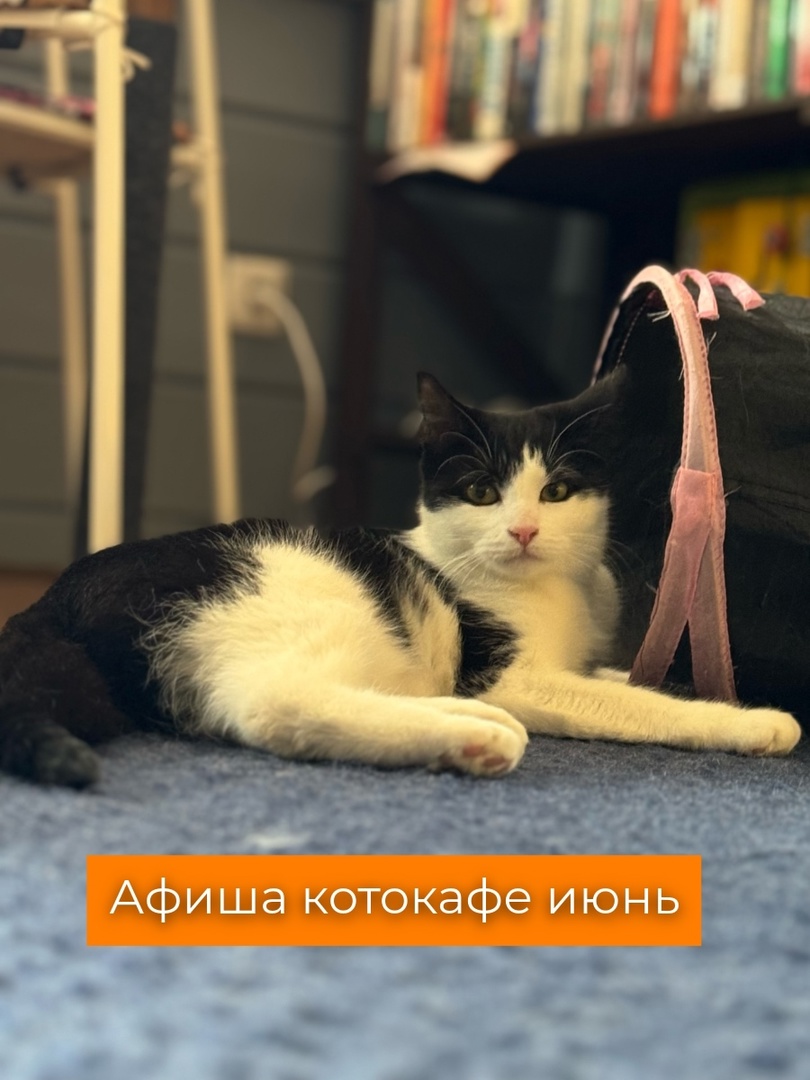 м