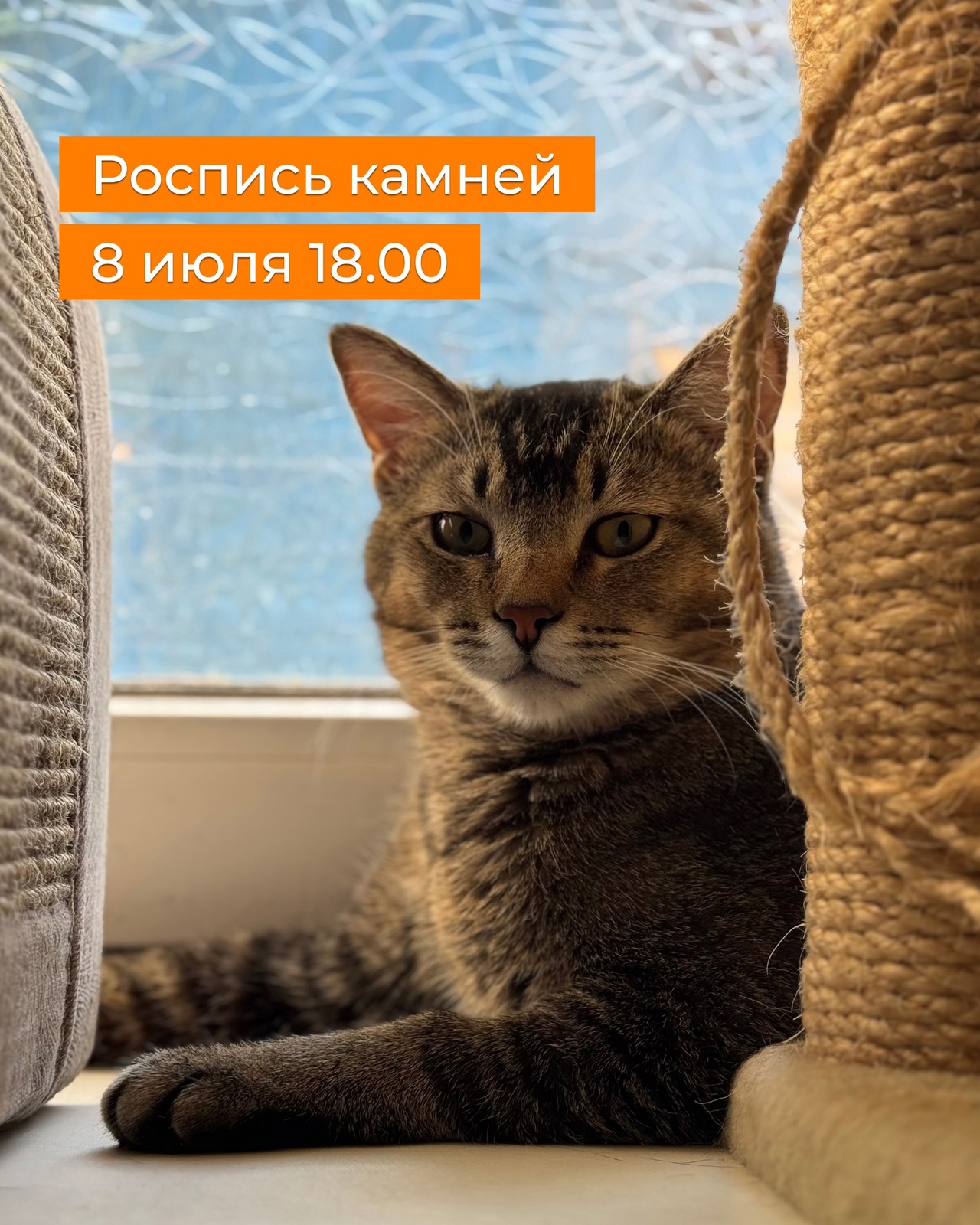 м