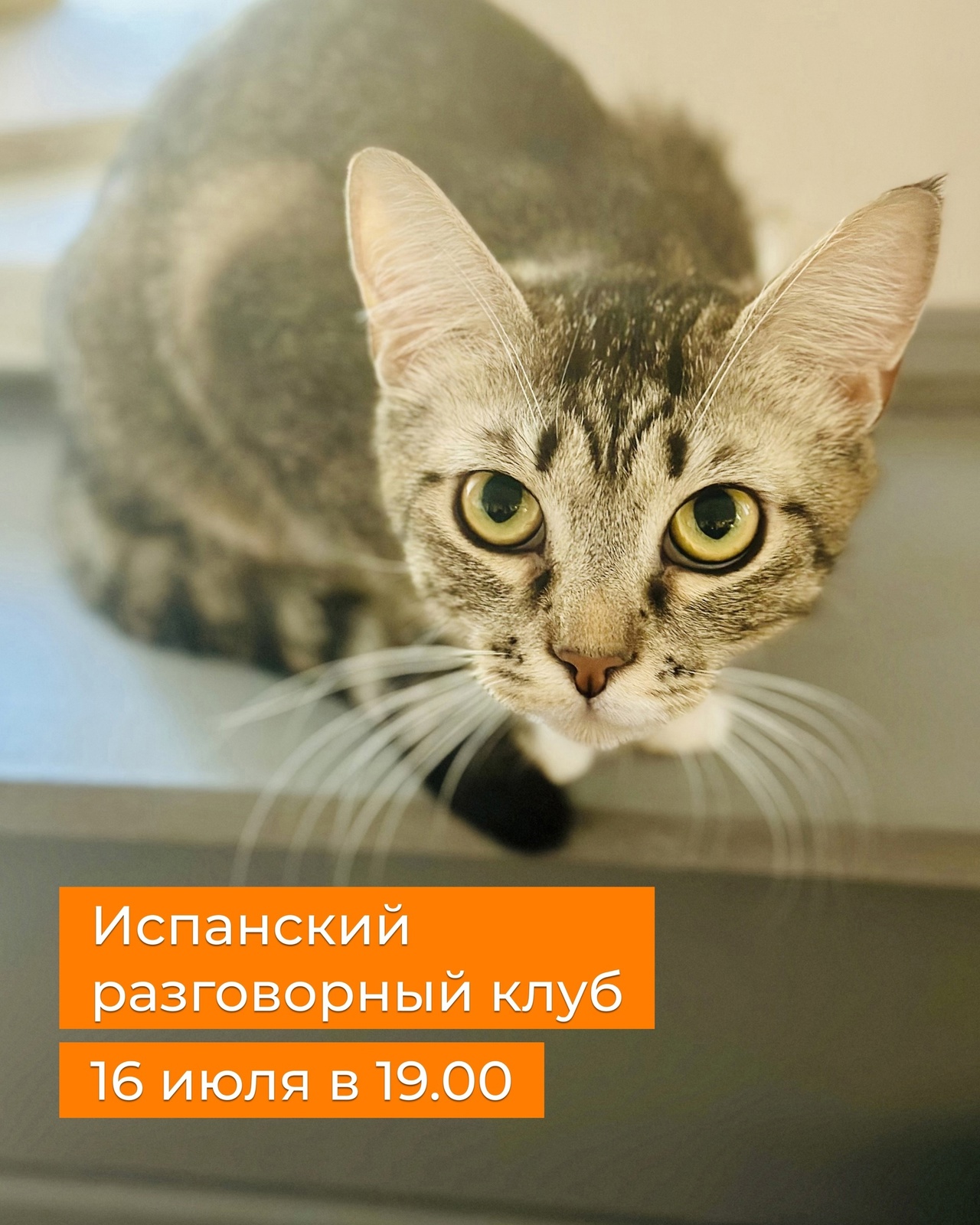 м
