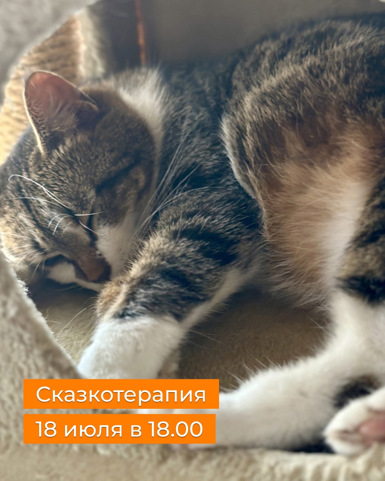 с