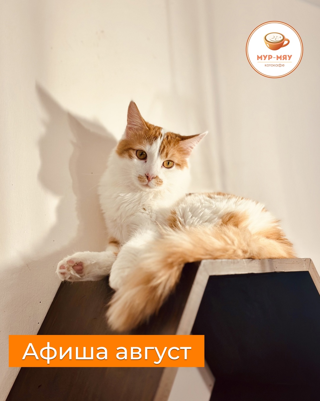 с
