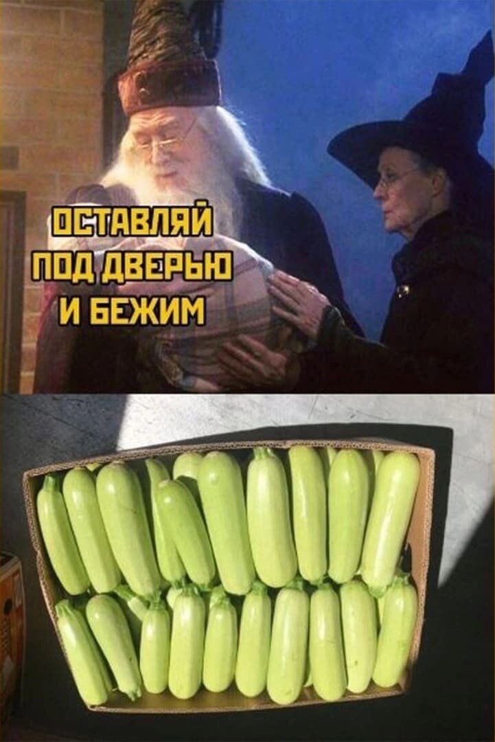 м
