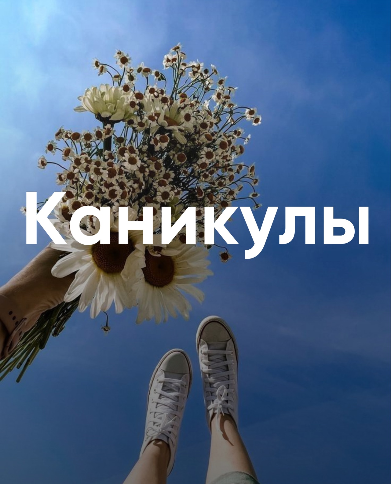 м