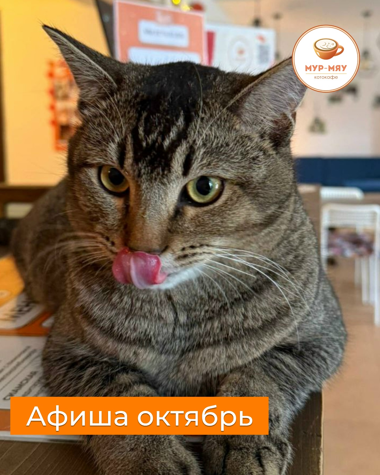 с