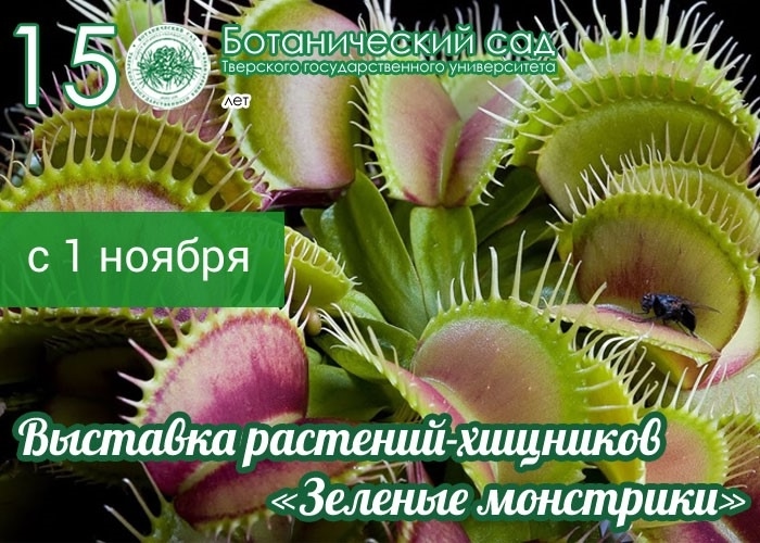 м
