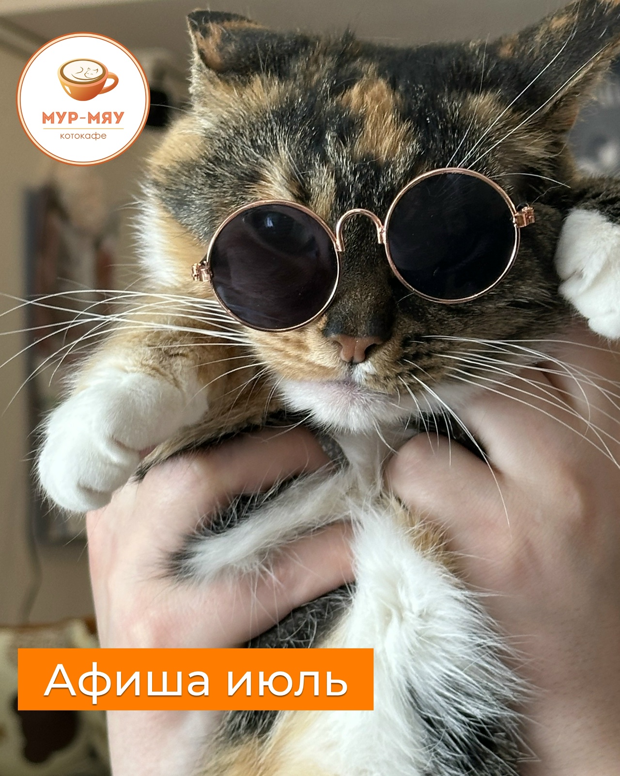 ввввввв