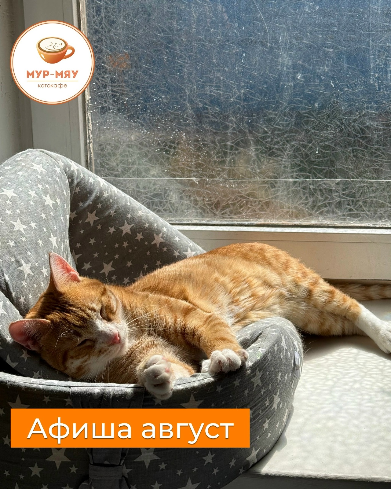 с