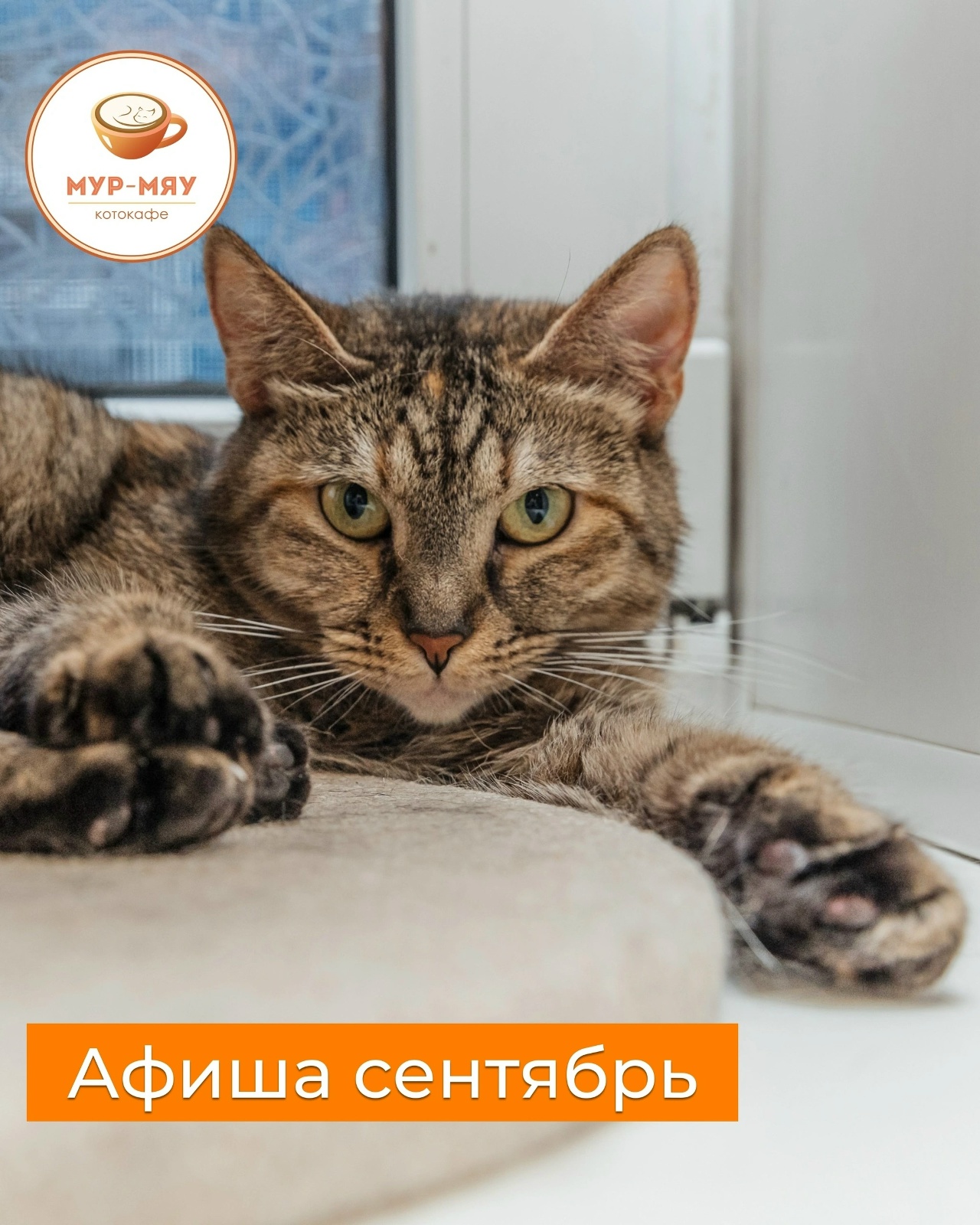 м