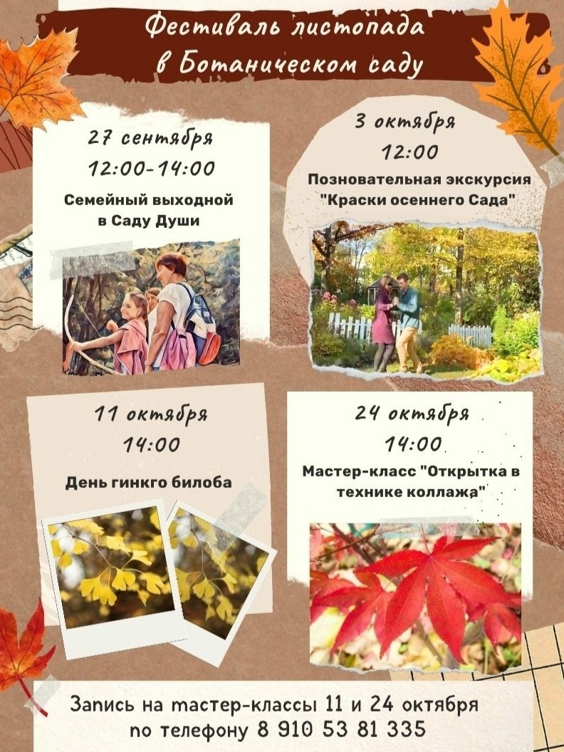 м