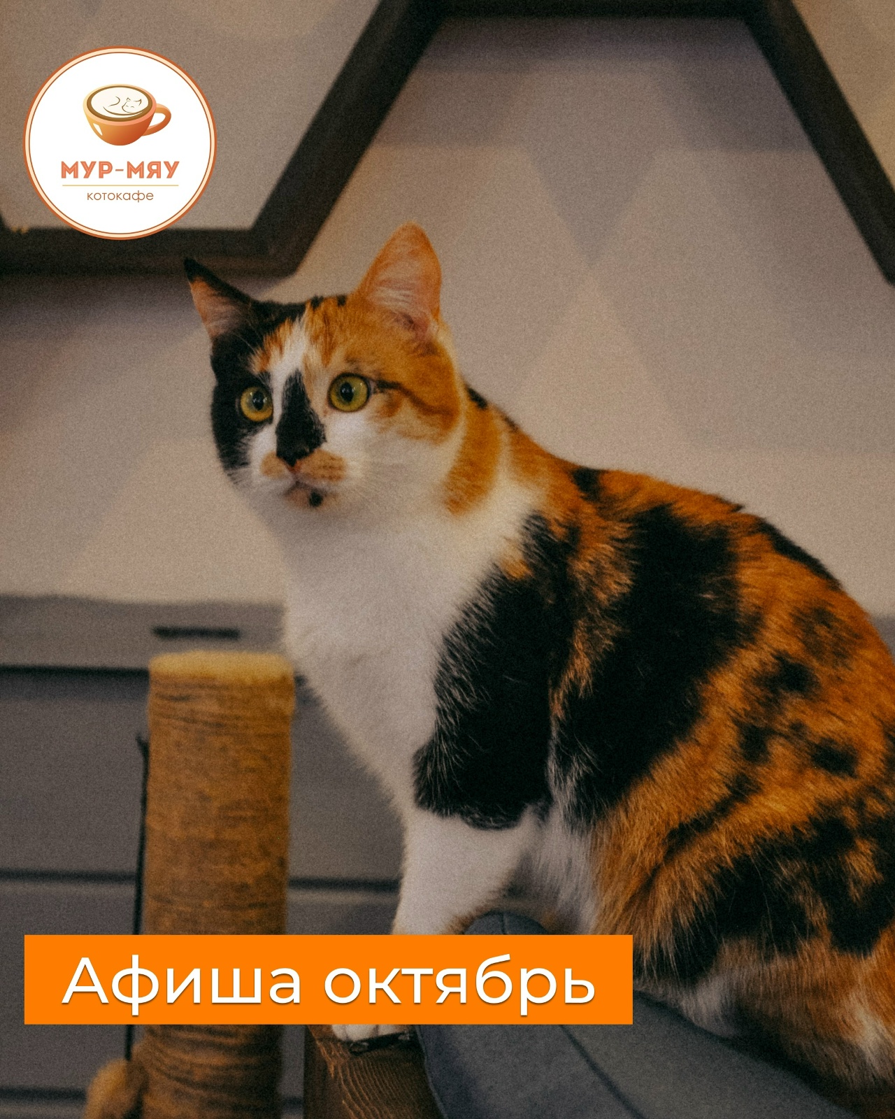 с
